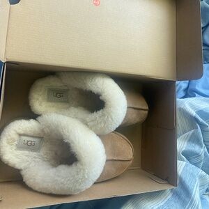 Ugg Slippers Chesnut Disquette